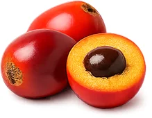 Deviral — chontaduro (Bactris gasipaes)